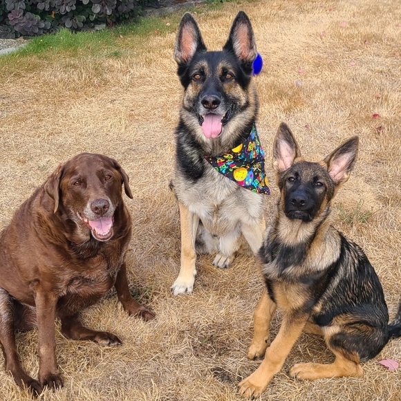 Like To Be Notified When I Go Live 🥳🫶🏻❤️ - Picture 3 of 9